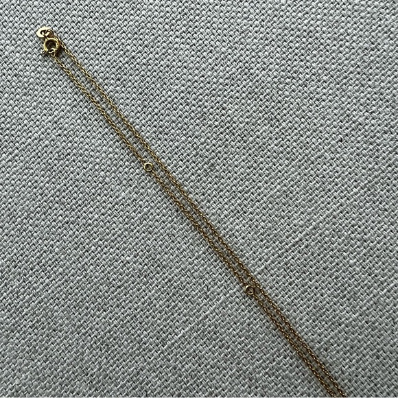 ALIGHIERI 24K Gold 'The Alchemist' Necklace - Picture 9 of 12